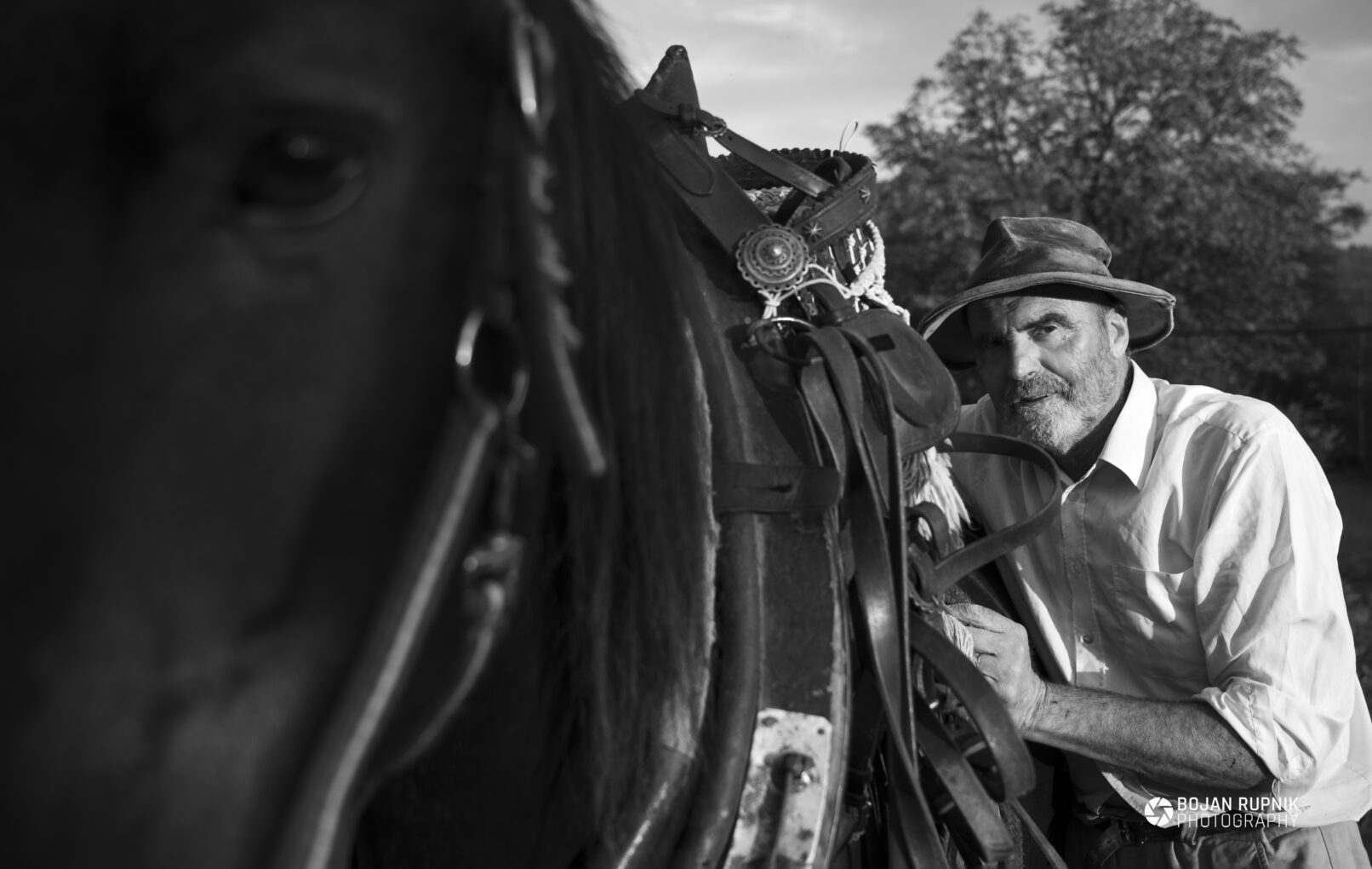 Portret konja in moža
