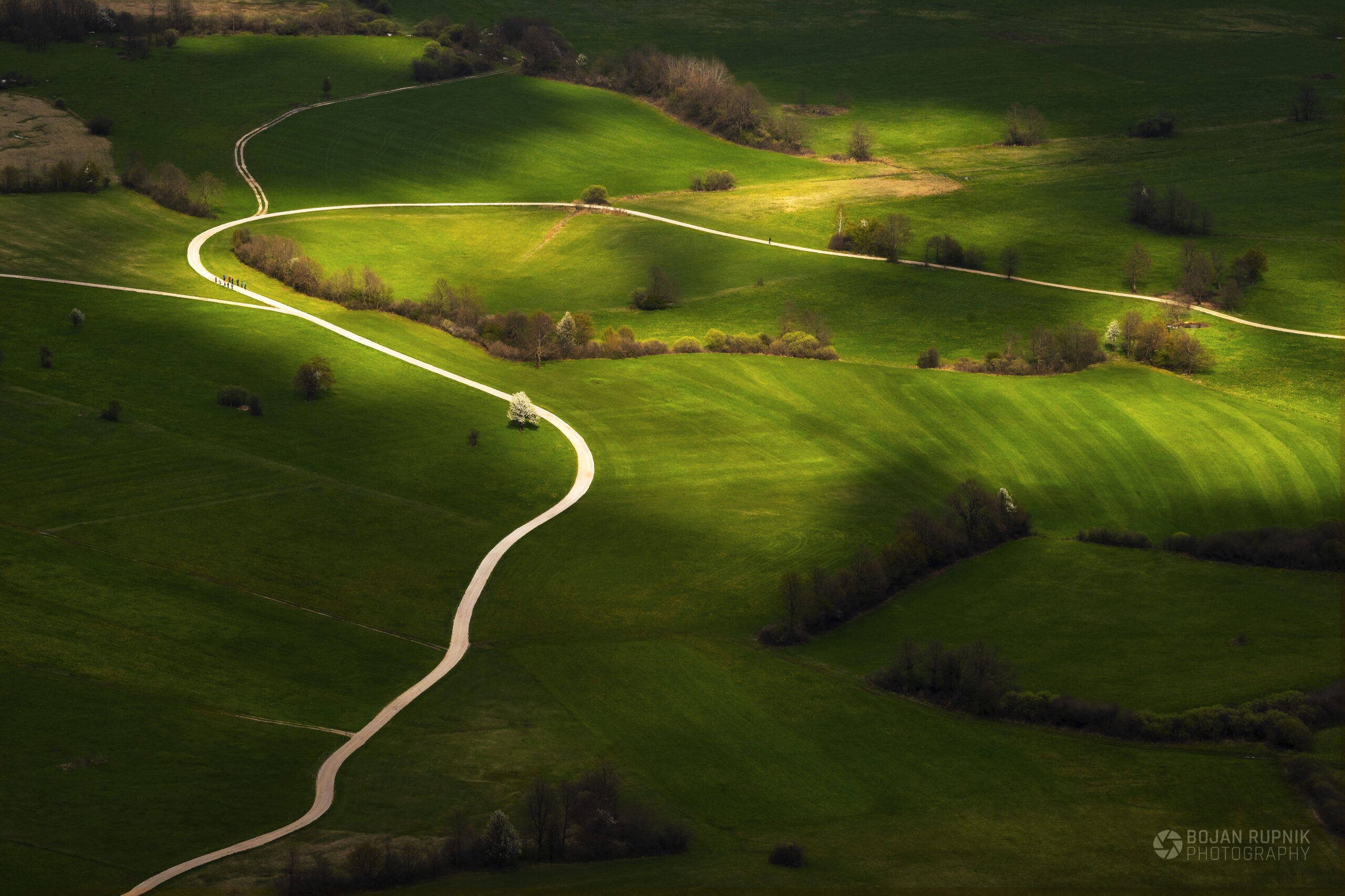 Zeleno pomladno Planinsko poje fotografirano iz zraka
