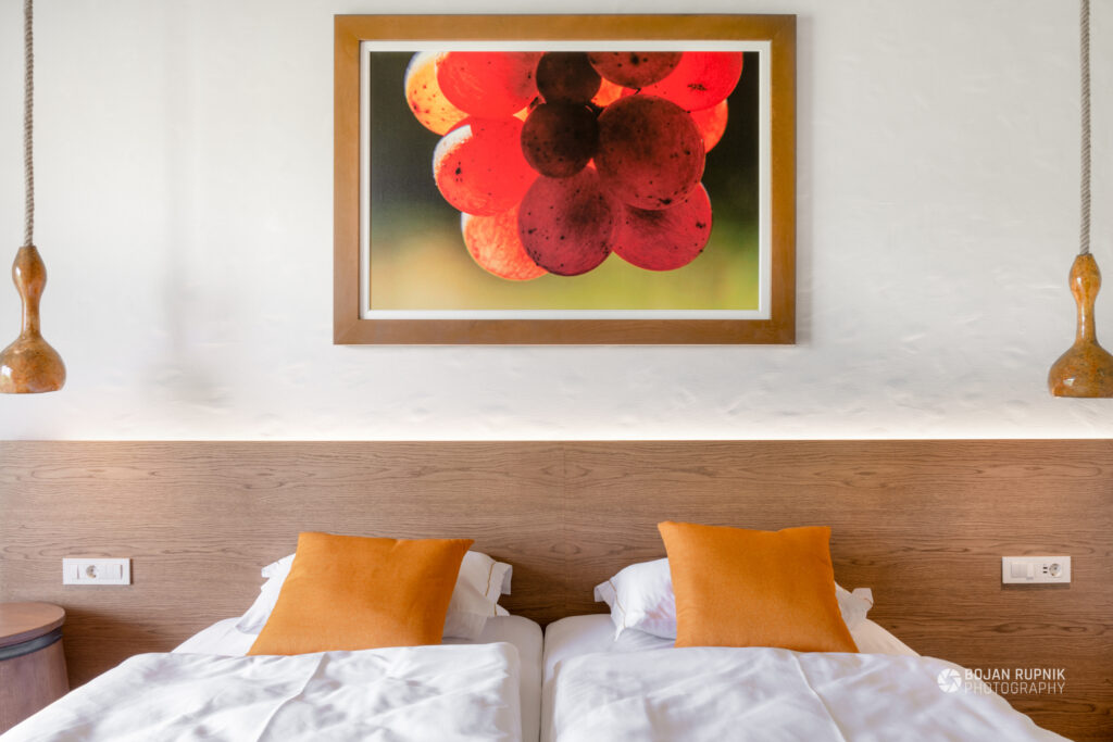 Soba Kmetija v Vinskem raju Glavinič