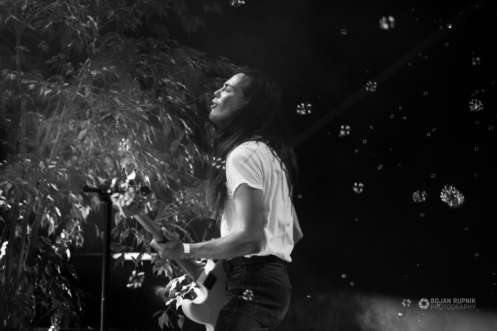 Kitarist Koala Voice