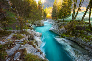 Turkizna Soča z zlatimi macesni v ozadju