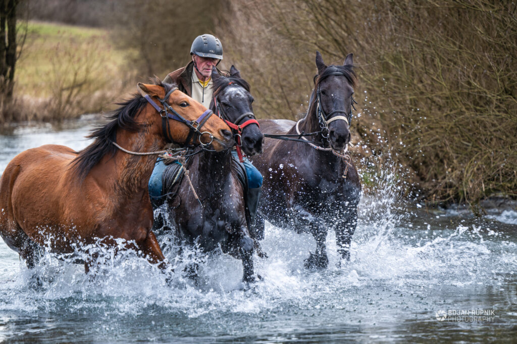 Jahač jezdi konja v diru čez vodo